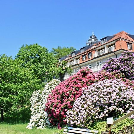 Ferienwohnung Natur Und Kunst Dresde Exterior foto