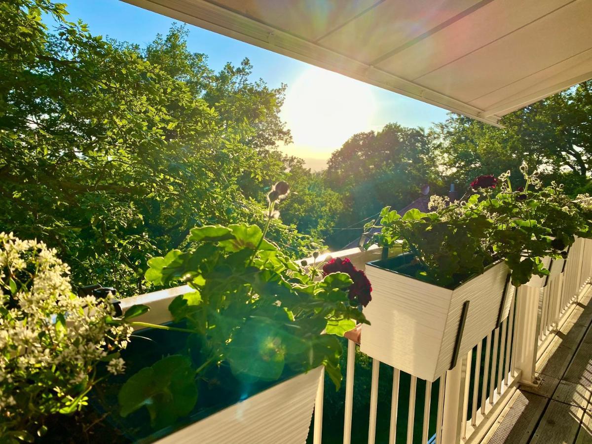 Ferienwohnung Natur Und Kunst Dresde Exterior foto