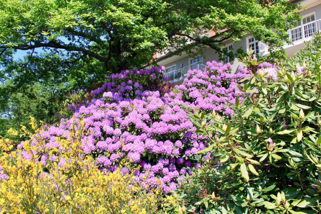 Ferienwohnung Natur Und Kunst Dresde Exterior foto