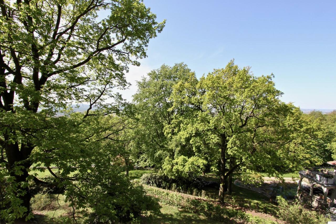 Ferienwohnung Natur Und Kunst Dresde Exterior foto