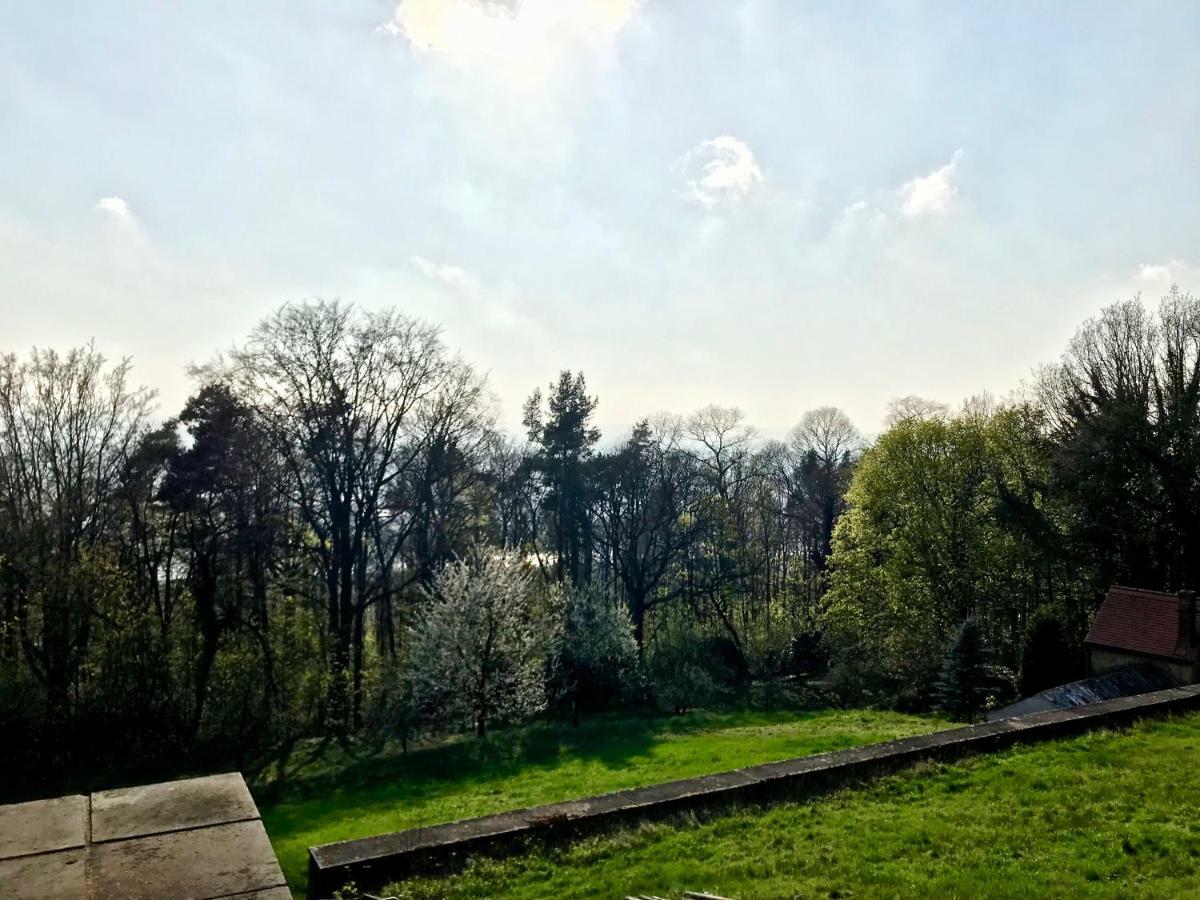 Ferienwohnung Natur Und Kunst Dresde Exterior foto
