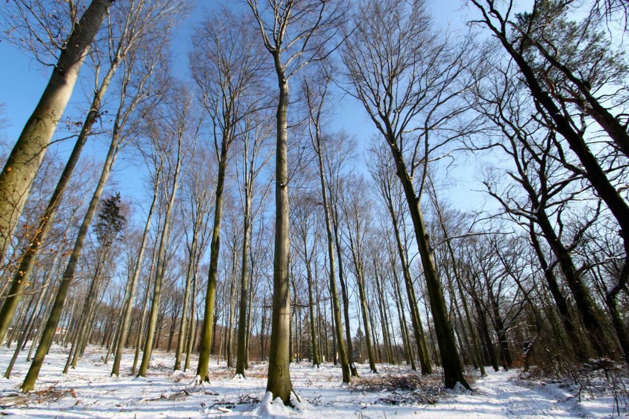 Ferienwohnung Natur Und Kunst Dresde Exterior foto